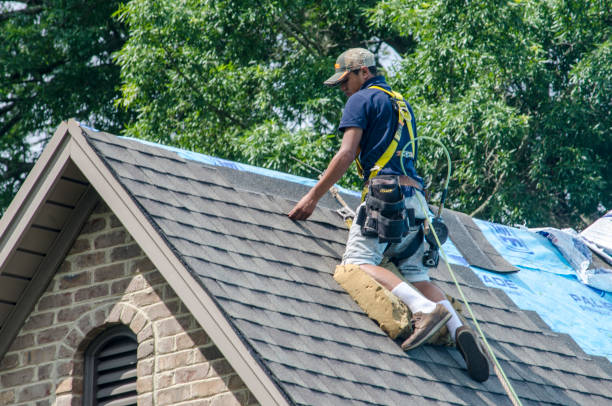 Quick and Trustworthy Emergency Roof Repair Services in Dakota Ridge, CO